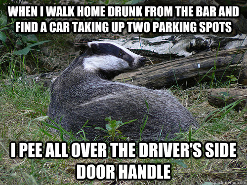when i walk home drunk from the bar and find a car taking up - Bastard Badger