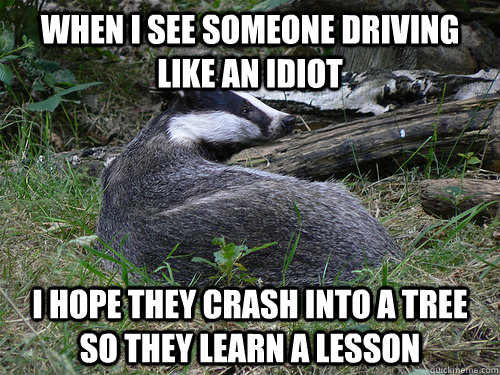 when i see someone driving like an idiot i hope they crash i - Bastard Badger