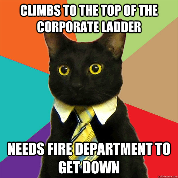 climbs to the top of the corporate ladder needs fire departm - Business Cat