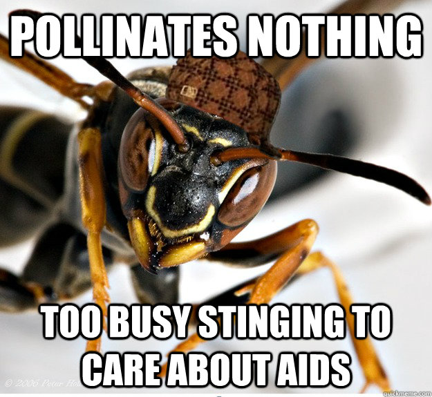 pollinates nothing too busy stinging to care about aids -