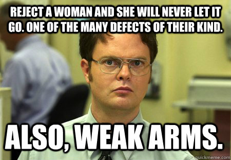 reject a woman and she will never let it go one of the many - Dwight
