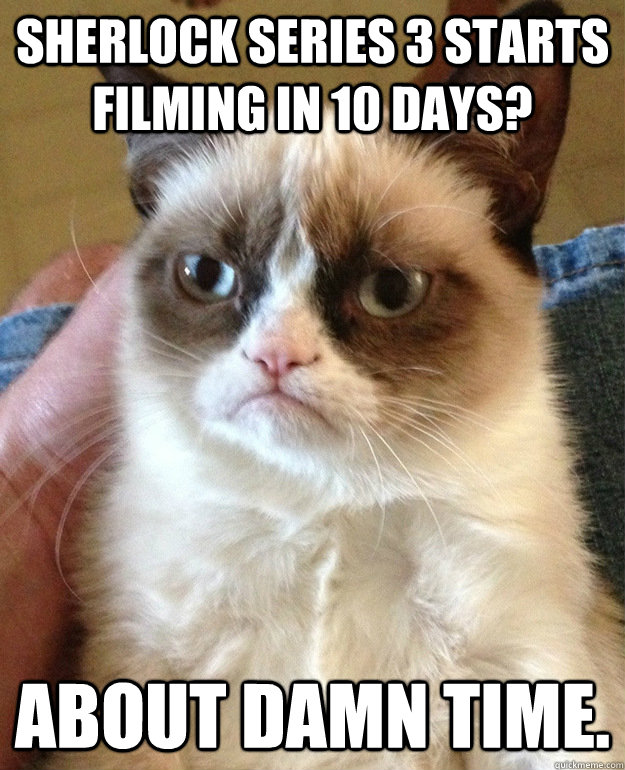 sherlock series 3 starts filming in 10 days about damn time - grumpycat