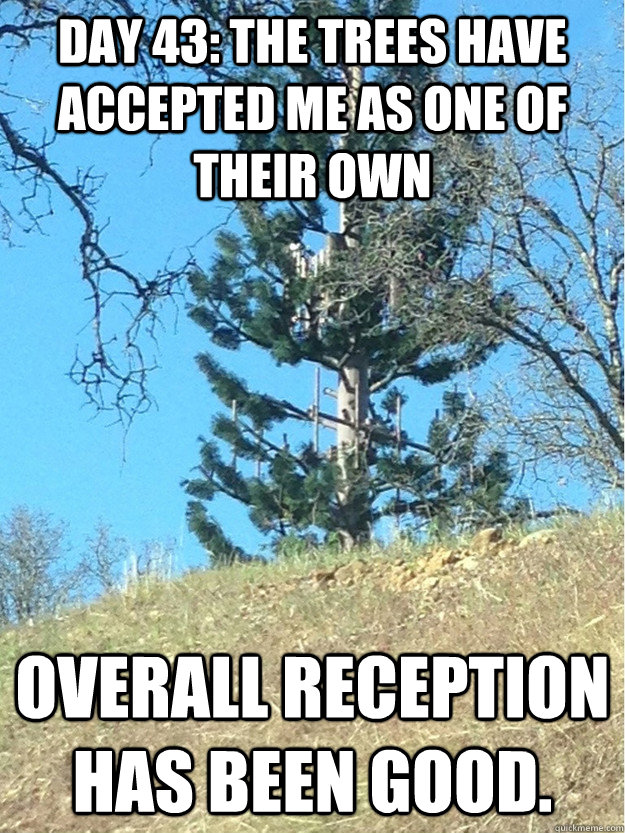 day 43 the trees have accepted me as one of their own overa -