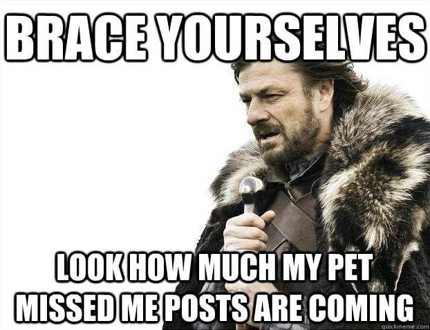 brace yourselves look how much my pet missed me posts are co - BRACEYOSELVES