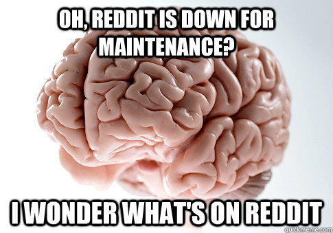 oh reddit is down for maintenance i wonder whats on reddi - Scumbag Brain