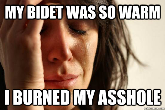 my bidet was so warm i burned my asshole - First World Problems