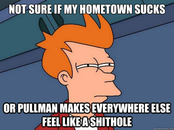 not sure if my hometown sucks or pullman makes everywhere el - Futurama Fry