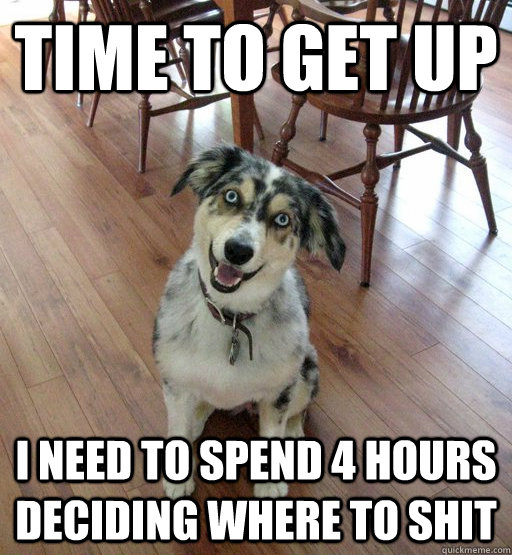time to get up i need to spend 4 hours deciding where to shi - Overly Attached Dog