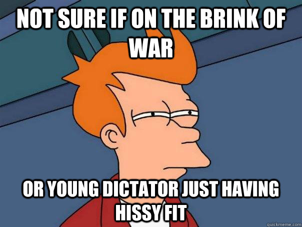 not sure if on the brink of war or young dictator just havin - Futurama Fry