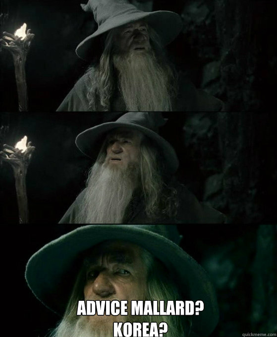 advice mallard korea - No memory Gandalf