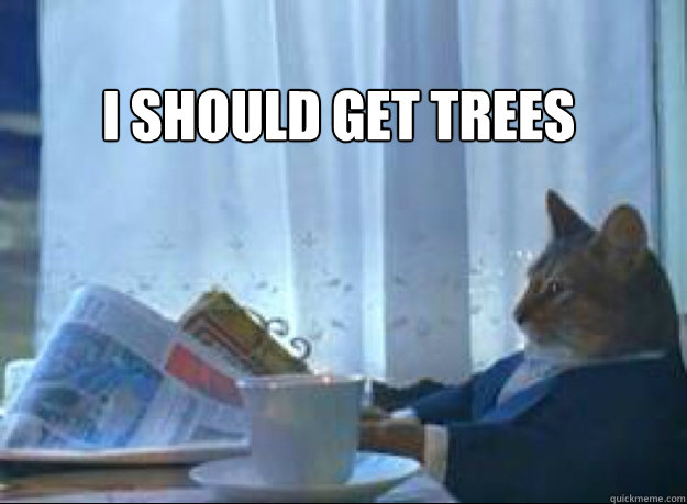 i should get trees  - I should buy a boat cat