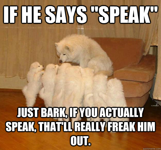 if he says speak just bark if you actually speak thatll -
