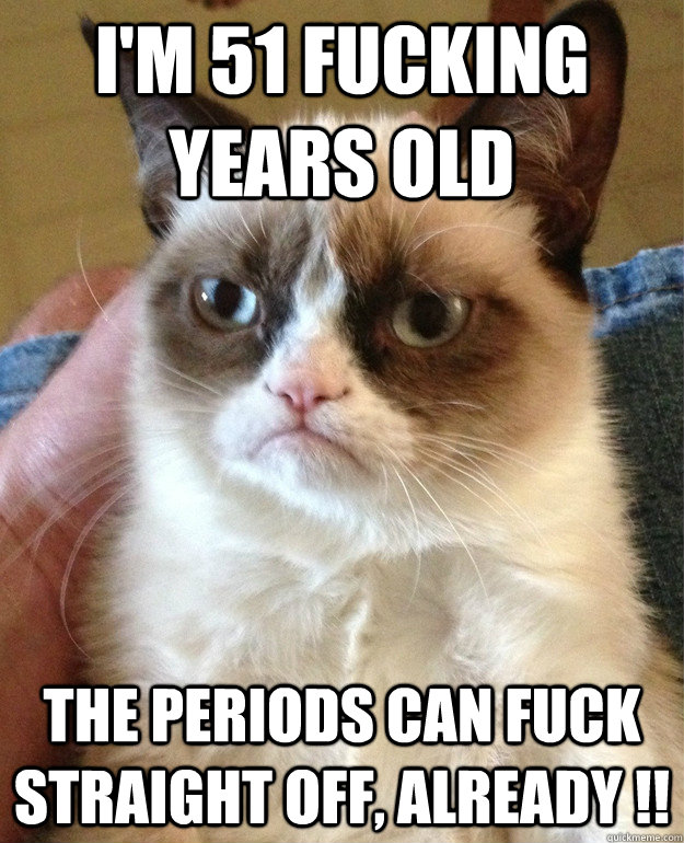im 51 fucking years old the periods can fuck straight off - Grumpy cat