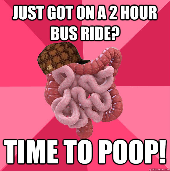 just got on a 2 hour bus ride time to poop - Scumbag Intestines
