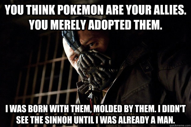 you think pokemon are your allies you merely adopted them - Angry Bane