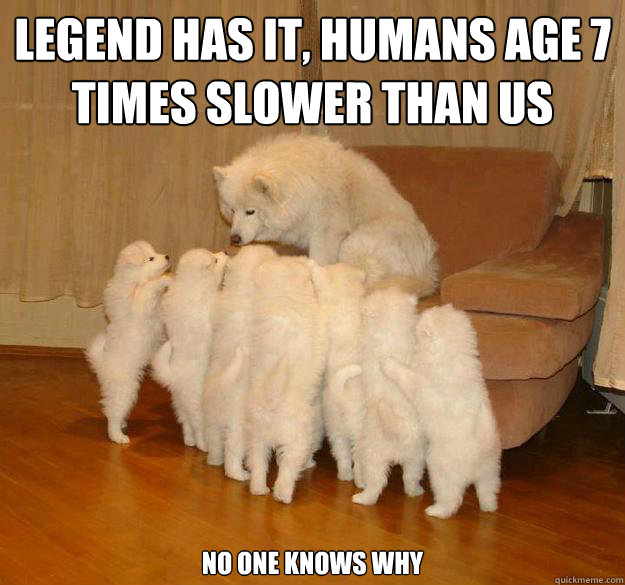legend has it humans age 7 times slower than us no one know -