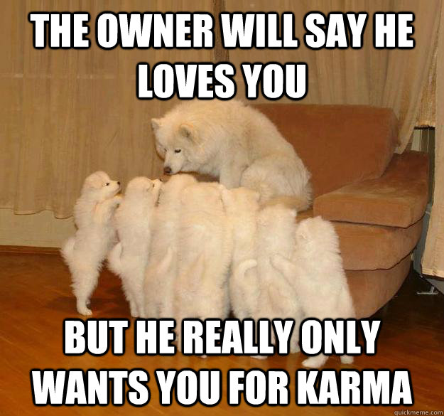 the owner will say he loves you but he really only wants you -