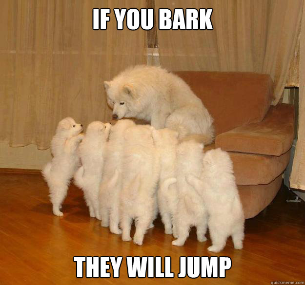 if you bark they will jump -