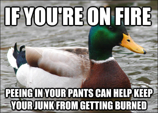 if youre on fire peeing in your pants can help keep your ju - Actual Advice Mallard