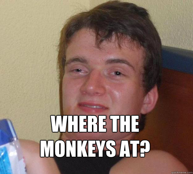 where the monkeys at - 10 Guy