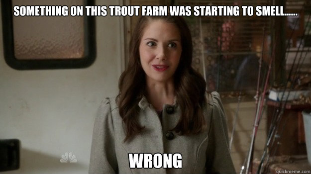 something on this trout farm was starting to smell wro -