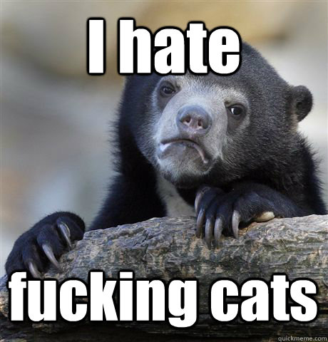 i hate fucking cats - Confession Bear