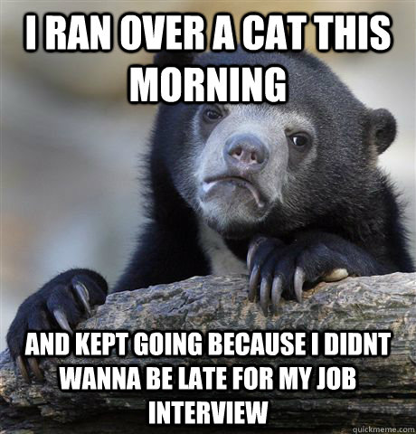 i ran over a cat this morning and kept going because i didnt - confessionbear