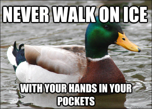 never walk on ice with your hands in your pockets - Actual Advice Mallard