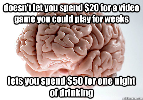 doesnt let you spend 20 for a video game you could play fo - Scumbag Brain