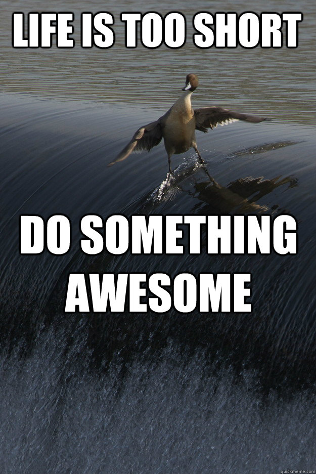 life is too short do something awesome -