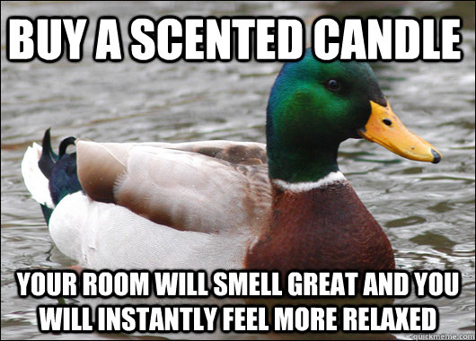 buy a scented candle your room will smell great and you will - Actual Advice Mallard