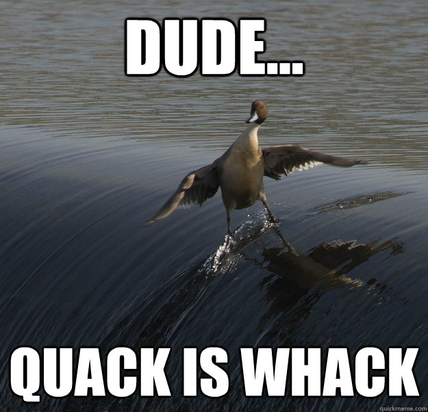 dude quack is whack - Dude Duck