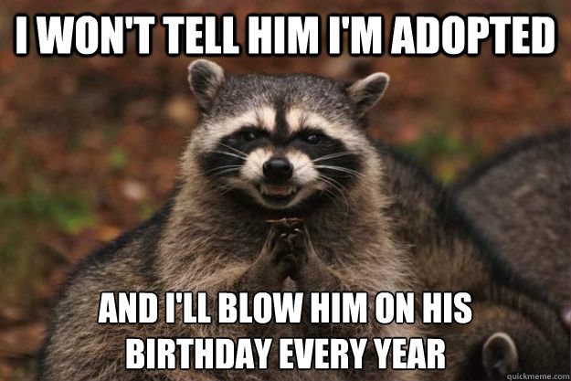 i wont tell him im adopted and ill blow him on his birthd - Evil Plotting Raccoon