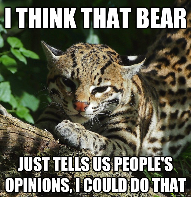 i think that bear just tells us peoples opinions i could d - Opinion Ocelot