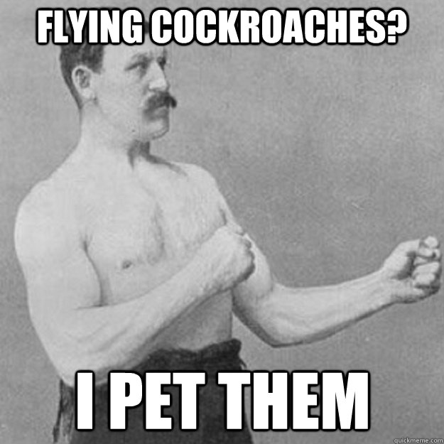 flying cockroaches i pet them - overly manly man