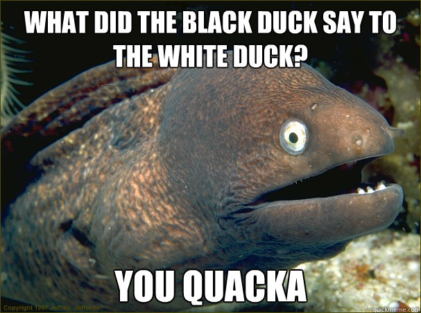 what did the black duck say to the white duck you quacka - Bad Joke Eel