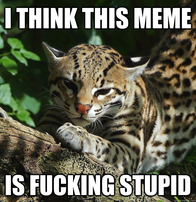 i think this meme is fucking stupid - Opinion Ocelot
