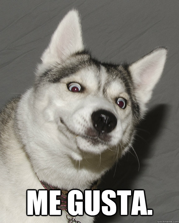 me gusta - Me Gusta Dog