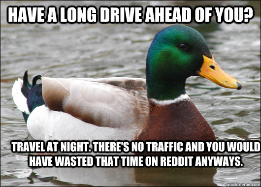 have a long drive ahead of you travel at night theres no - Actual Advice Mallard