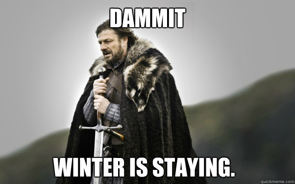 dammit winter is staying - Ned Stark