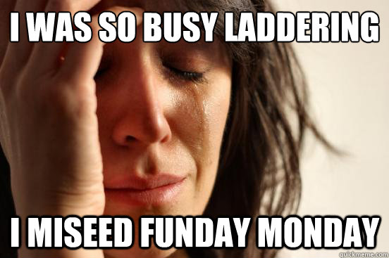 i was so busy laddering i miseed funday monday - First World Problems