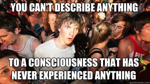 you cant describe anything to a consciousness that has neve - Sudden Clarity Clarence