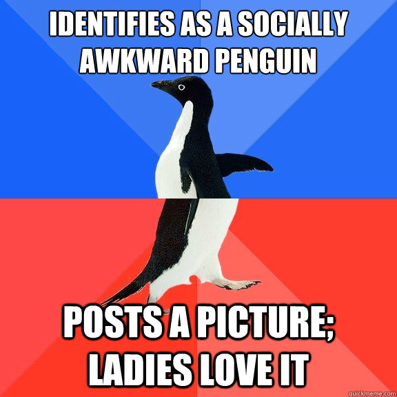 identifies as a socially awkward penguin posts a picture la - Socially Awkward Awesome Penguin