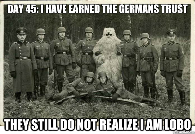 day 45 i have earned the germans trust they still do not re -