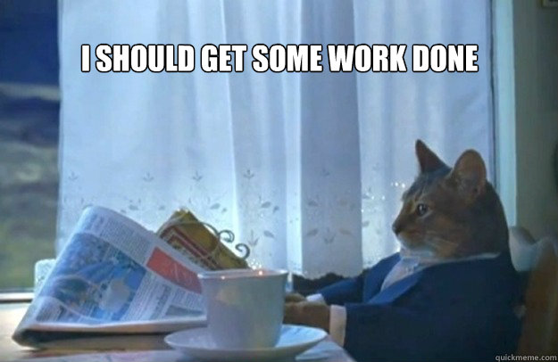i should get some work done - Sophisticated Cat