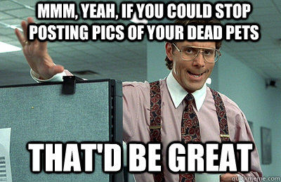 mmm yeah if you could stop posting pics of your dead pets - Office Space