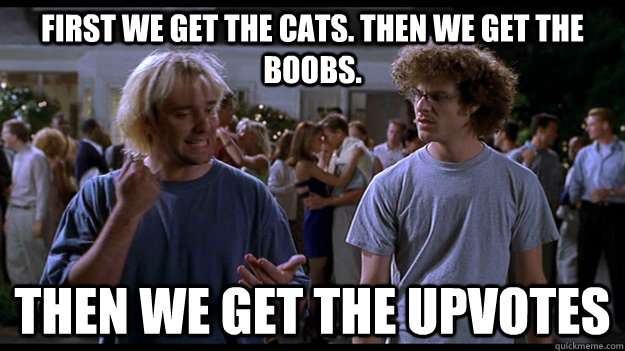 first we get the cats then we get the boobs then we get th - BASEKETBALL MEME