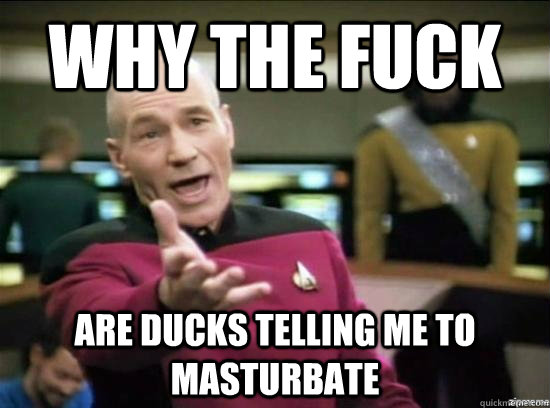 why the fuck are ducks telling me to masturbate - Annoyed Picard HD