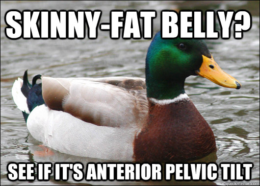 skinnyfat belly see if its anterior pelvic tilt - Actual Advice Mallard