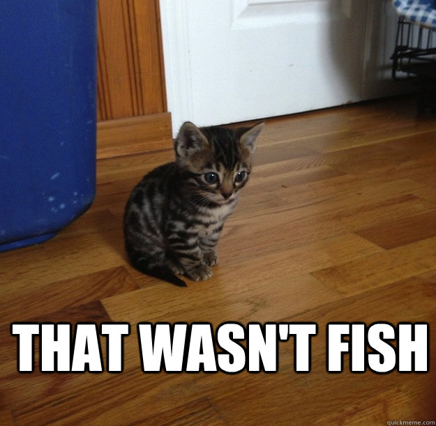 that wasnt fish -